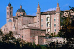 Urbino